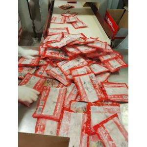 2000kg/H Blast Tunnel Freezer