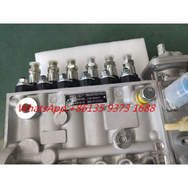 Genuine Cummins 6CT8.3-C260 diesel Engine Fuel Pump 4944742 5260259 4946960 3975927 5266067 4989873