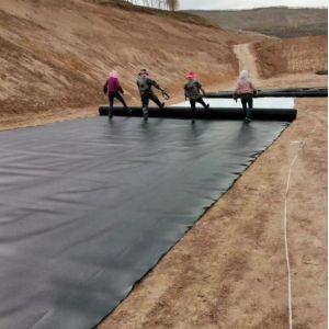 1m-8m Width Black White Green Blue HDPE Geomembrane Liner for Environmental