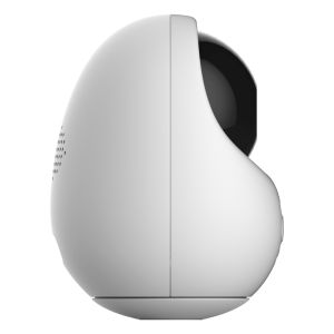 1080P PTZ Wi-Fi Camera(2W9)