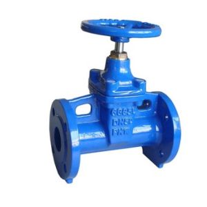 Hand Wheel A536 DN50 PN16 Resilient Seal Gate Valve