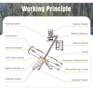 Wenyao Cashew nut Color Sorter Seeds Color Sorting Machine Optical Color Sorting