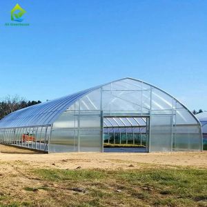 Pipe Framed Poly Tunnel Greenhouse Strong Wind Resistance