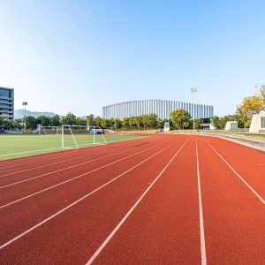 ISO18001 13mm Sandwich System Tartan Stadium Running Track