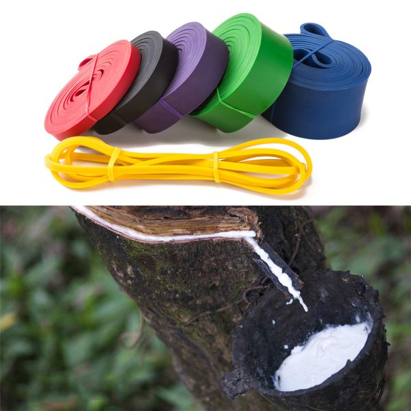 Durable Environmental Resistance Loop Band , Home Gym Resistance Bands For Legs