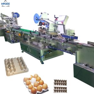 Quality Egg tray carton box labeling machine with egg plastic boxes, flat labeling machine with eggs protector box egg sand box for sale
