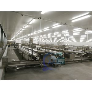 3KW Stable Shrimp Processing Machine 10000x1150x1550mm Practical