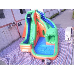 Quality Forest Inflatable Water Slide (CYSL-20) for sale