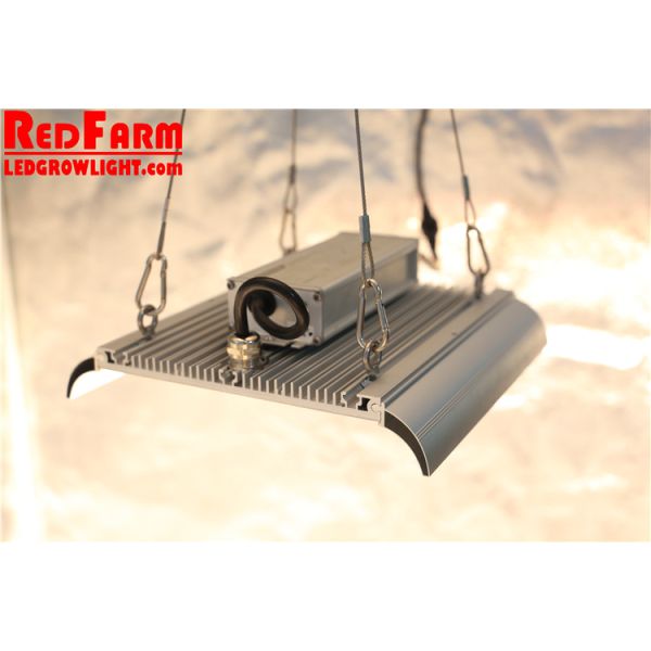 Indoor Hydroponics Dimmable Flowering 100w LED Grow Lights