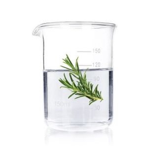 Soothing Rosemary Floral WaterGentle Antioxidant & Scalp Care Solution