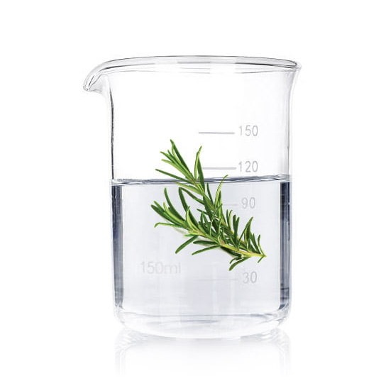 Buy Soothing Rosemary Floral WaterGentle Antioxidant & Scalp Care Solution at wholesale prices