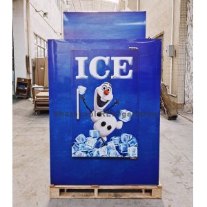 Waterproof Bagged Ice Merchandiser Stand Up Secop Compressor
