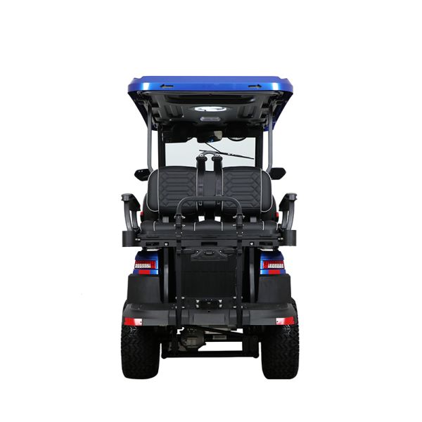 New fashional electric golf car with 10.3inch screen