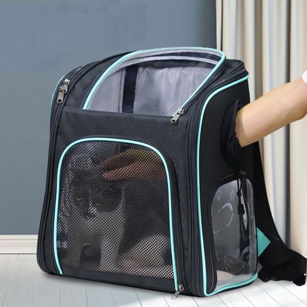 Buy Customization Pet Dog Cat Travel Carrier Backpack With Breathable Mesh at wholesale prices