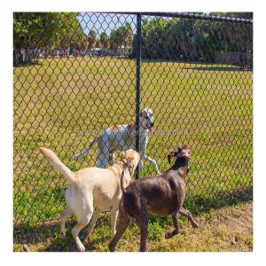 Fencing 9 Gauge Chain Link Wire Mesh Fence with 1 Inch Removable Design and Best