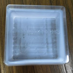 China Customized reusable plastic PET white square plastic greenhouse hydroponic plant seed planting box on sale