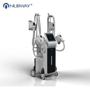 Quality 2018 Newest most professional hot selling 2500W Cryolipolysis slimming for sale