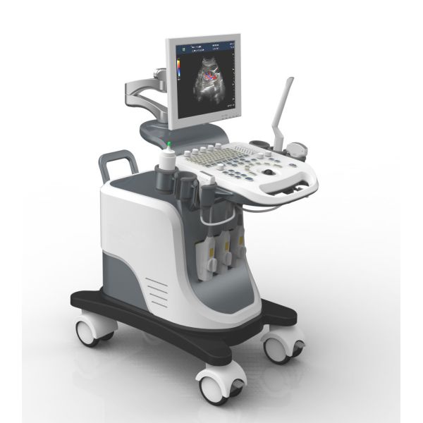 Buy Full Digital Trolley 4D Echo Ultrasound Machine For Gynecology at wholesale prices