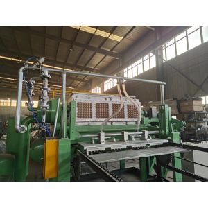 Corrugated Carton Paper Egg Tray Machine CE Approval 300kg/H Paper Consumption
