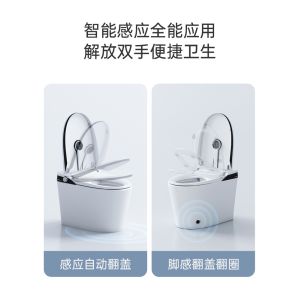 Siphon Flushing Smart Flush Toilet One Piece Intelligent Self Washing