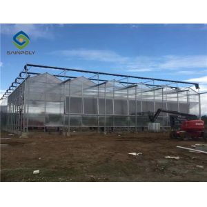 Hot Dipped Galvanized Steel 7.5m Polycarbonate Greenhouse
