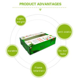 Cartonplast Twinwall Corrugated Plastic Produce Boxes Stackable