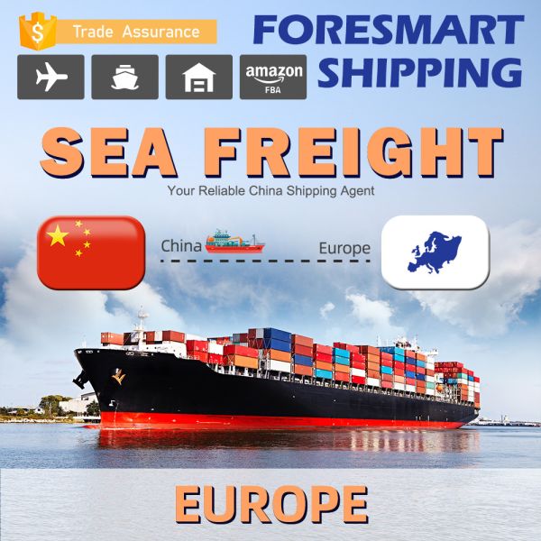 Weekly International Sea Freight Services , 40ft Container Shipping From China