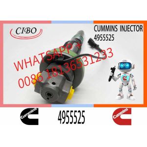 Engineering Machinery QSK19 Truck Engine System Accessories 4955525 Diesel Fuel