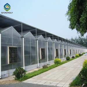12m Multi Span Greenhouse With Hydroponic Growing Systems