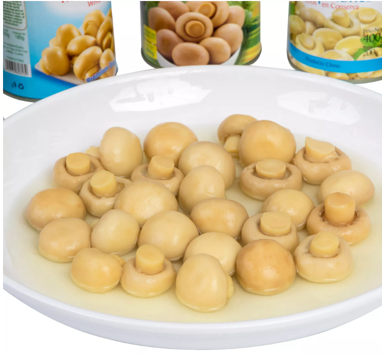 China 2022 New Crop 400g Canned Whole Mushroom Home Canned Foods