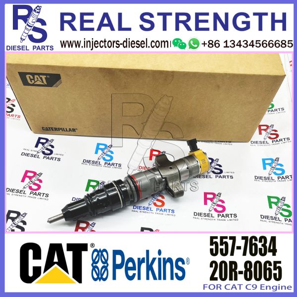 Diesel Fuel Injector 267-9734 293-4071 557-7634 20R-8065 20R-8060 20R-8968 20R-1917 For C-At-Erpillar C9 Engine