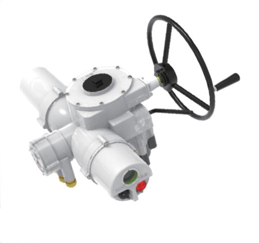 Buy RAGA RA/RQ/RQM Intelligent electric actuator RAIII7A RAIII11A RAIII13A RAIII14A RAIII15A RAIII16A RAIII30A RAIII35A RAIII40A RAIII70A RAIII90A RAIII95A RQIII003 RQIII008RQIII014 RQIII020 RQIII030 at wholesale prices