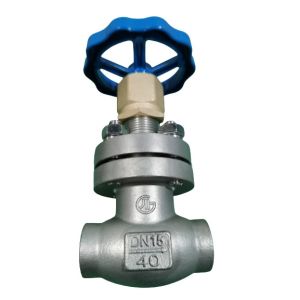 China Low Temperature Gas DN15 PN40 Socket Weld Globe Valve on sale China Low Temperature Gas DN15 PN40 Socket Weld Globe Valve on sale