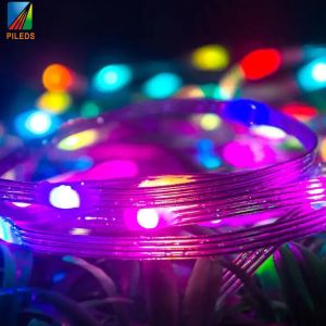 Wireless RGB LED String Light Mobile Phone App Control For Christmas
