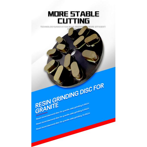 Customized Support OEM Fine Grinding on Granite 10 Inch Diamond Resin Bond Grinding Plate