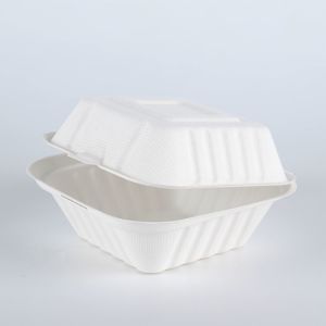 Disposable Biodegradable Bagasse fast food takeaway dinnerware container