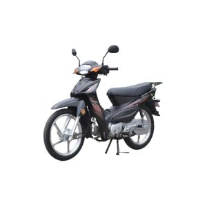 China Single Cylinder 110cc Enduro Dirt Bikes Automatic Clutch Pit on sale