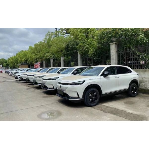 ENS1 EV SUV Speed Small Electric Sports Car with Electronic Stability Control System