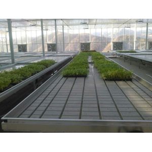 China Transparent Commercial Glass Greenhouse Good Light Transmission With Insulating Glass on sale