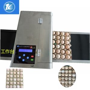 Convenient Moving Egg Code Printing Machine With Personalized Integration Frame