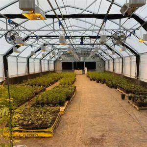 China Automatic Ventilation System Blackout Greenhouse With LED Light Deprivation on sale