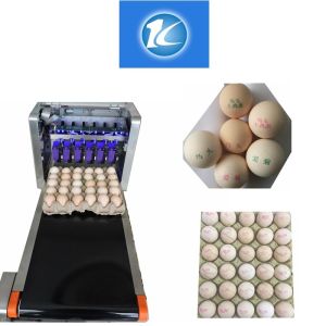 Date Code Expire Date Industrial Handled Portable Inkjet Printer for Bottles /