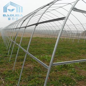 Agriculture Cucumber Chili Single Span Tunnel Plastic Greenhouse With Shading