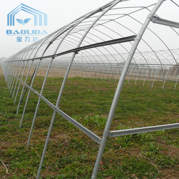 Agriculture Cucumber Chili Single Span Tunnel Plastic Greenhouse With Shading