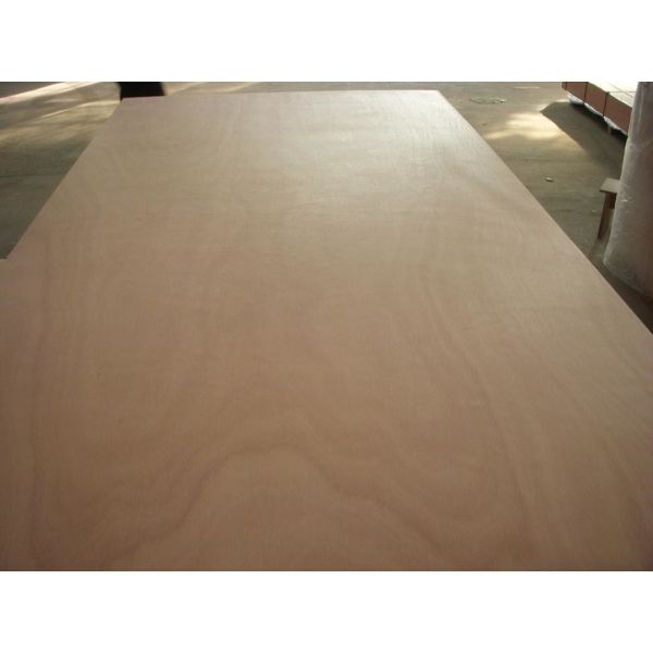 Eucalyptus 12mm Waterproof Film Faced Plywood For Construction