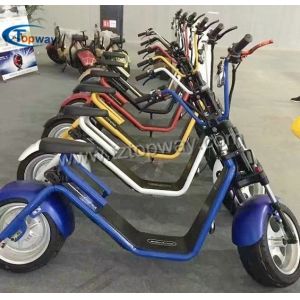 2017 popular electric scooter with big wheels fashion citycoco