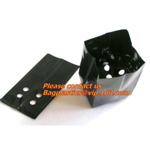 vegetables, fruits, seeds, bedding plants, tomatoes, peppers, cucumbers, tree