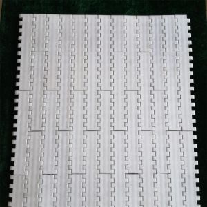 Pitch 25.4mm 1000 Series Straight Running POM Plastic Modular Belt