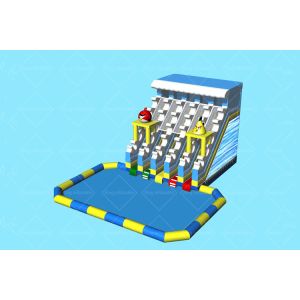 Quality Outdoor Custom Fire Ice Color Inflatable Water Slide With Swimming Pool for sale