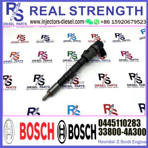 Diesel Fuel Common Rail Injector 0445110283 33800-4A300 33800-44350 33800-4A350